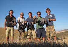 Cape Town Wingshooting Day Trips