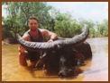 Asiatic Buffalo Hunt