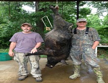 Alabama Hog Hunting