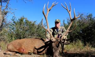 Argentina Big Game Red Stag
