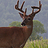 South Dakota Antelope hunts | Offhunting.com