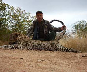 Namibia Leopard