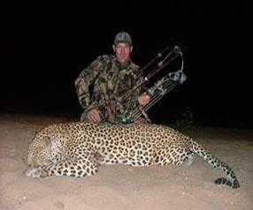 Namibia Leopard