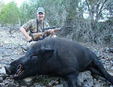 Texas Hog Hunting